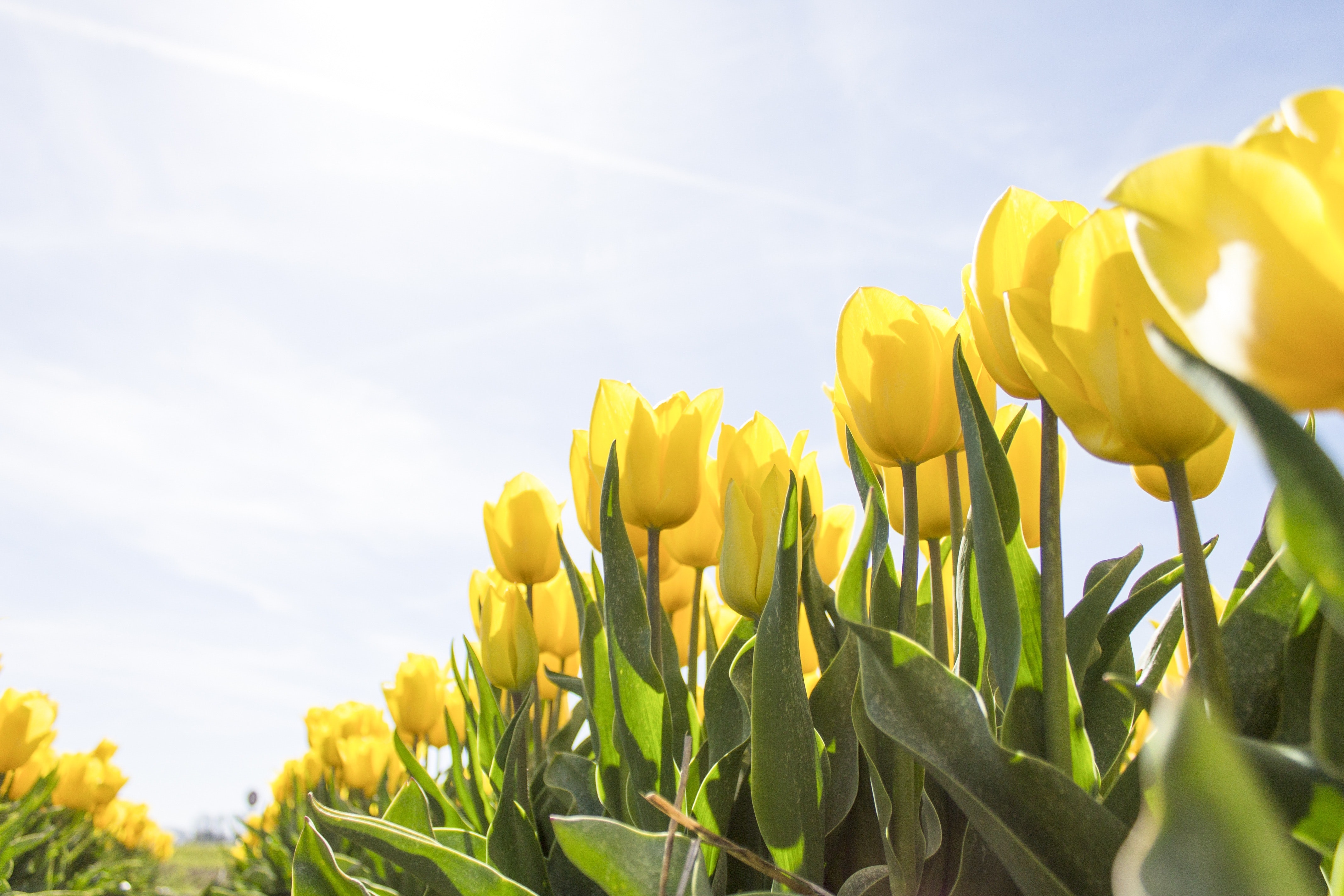 Gateway_Easter_Hours